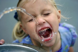 iStock_000004417867Small